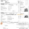 USA We utility bill template in Word and PDF format