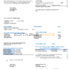 USA Pennsylvania Wellsboro Electric utility bill template in Word and PDF format