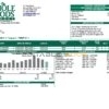 USA Whole Foods Market utility bill template in Word and PDF format