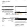 USA North Carolina Woodfin Sanitary Water & Sewer District utility bill template in Word and PDF format