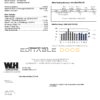 USA Minnesota Wright-Hennepin utility bill template in Word and PDF format