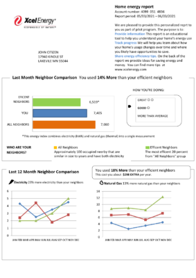 USA Minnesota Xcel Energy utility bill template in Word and PDF format (.doc and .pdf)