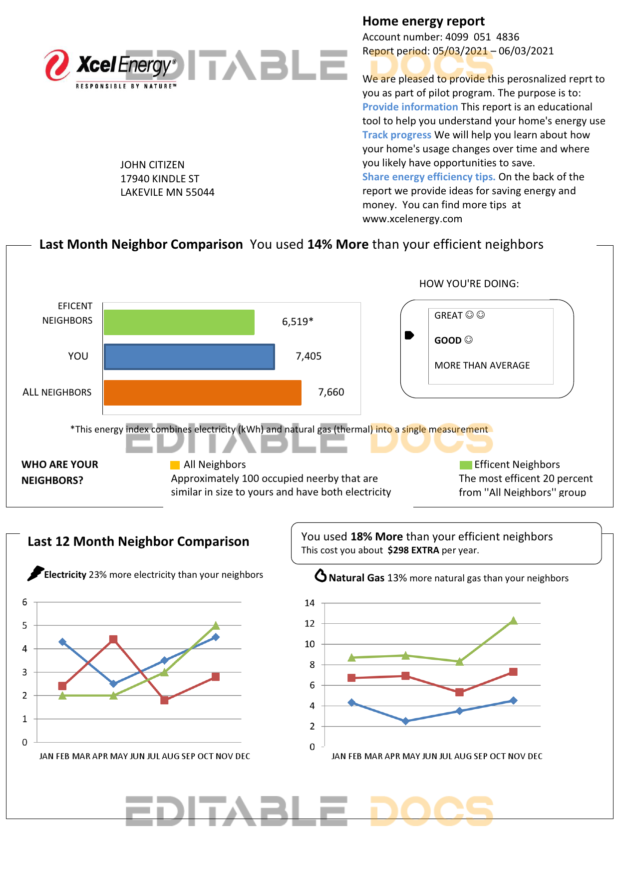 USA Minnesota Xcel Energy utility bill template in Word and PDF format (.doc and .pdf)