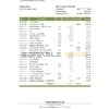 Yemen Central Bank of Yemen bank statement, Excel and PDF template