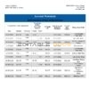 Yemen Housing Bank statement Word and PDF template