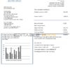 Yemen Gas Company utility bill template in Word and PDF format