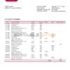 Zambia Absa bank statement template in Word and PDF format