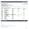 Zambia Cavmont bank statement template in Word and PDF format