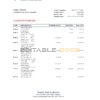Zimbabwe Stanbic bank statement, Excel and PDF template