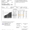 USA Hawaiian Electric utility bill template in Word and PDF format (.doc and .pdf)