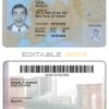 USA New York ID template in PSD format, fully editable