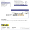 Nicaragua Nicaraguan Electricity Company ENEL electricity utility bill template in Word and PDF format