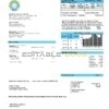 Nigeria Nigerian Electricity Regulatory Commission electricity utility bill template in Word and PDF format