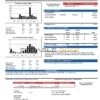 USA NorthWestern Energy utility bill template in Word and PDF format, version 2