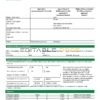Paraguay Petrobras Paraguay Operations and Logistics gas company utility bill template in Word and PDF format