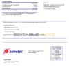 Senegal Senelec Agence Sacré Coeur Company electricity utility bill template in Word and PDF format