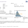 Serbia electricity proof of address utility bill template Word and PDF format