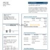 Somalia NESCOM Company electricity utility bill template in Word and PDF format