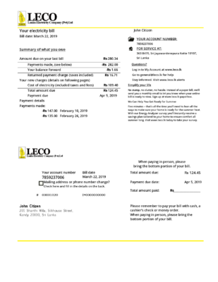 Sri Lanka LECO Company electricity utility bill template in Word and PDF format