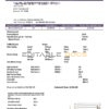 USA Texas Summer Energy easy fillable utility bill template in Word and PDF format