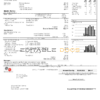 USA Wisconsin We Energies electricity utility bill template in Word and PDF format