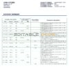 Afghanistan International Bank (AIB) bank statement template in Word and PDF format