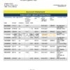 Albania Credins Bank statement template in Word and PDF format