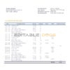 Albania Tirana bank statement template in .doc and .pdf format, fully editable
