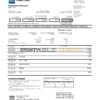 Canada American Express Air Miles Credit Card account statement easy to fill template in Word and PDF format