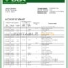 Angola Banco Comercial Angolano bank statement template in Word and PDF format
