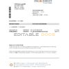 Australia ING Direct bank statement easy to fill template in Excel and PDF format
