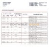 Austria BAWAG PSK bank statement template in Word and PDF format