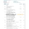 Austria Erste Group bank statement easy to fill template in Excel and PDF format