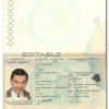 Authentic Algeria PSD Passport Template