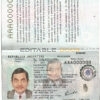 Authentic Argentina PSD Passport Template