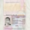 Authentic Czech PSD Passport Template