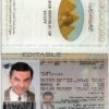 Authentic Egypt PSD Passport Template