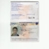 Authentic France PSD Passport Template