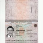 Authentic Hungary PSD Passport Template