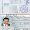 Authentic India PSD Passport Template