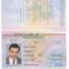 Authentic Indonesia PSD Passport Template