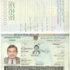 Authentic Iraq PSD Passport Template