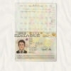 Authentic Japan PSD Passport Template