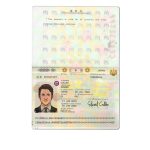 Authentic Japan PSD Passport Template