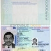 Authentic Netherlands PSD Passport Template (2014 – present)