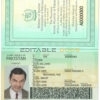 Authentic Pakistan PSD Passport Template