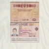 Authentic Russia Travel PSD Passport Template