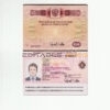 Authentic Russia Travel PSD Passport Template