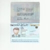 Authentic South Korea PSD Passport Template