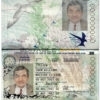Authentic United Kingdom of Great Britain and Northern Ireland PSD Passport Template (2010-2015)